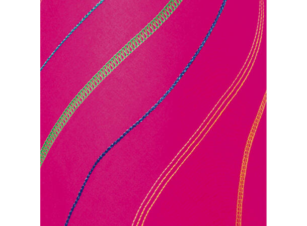 Elna Easy Cover Coverstitchmaskin = Janome 2000CPX 
